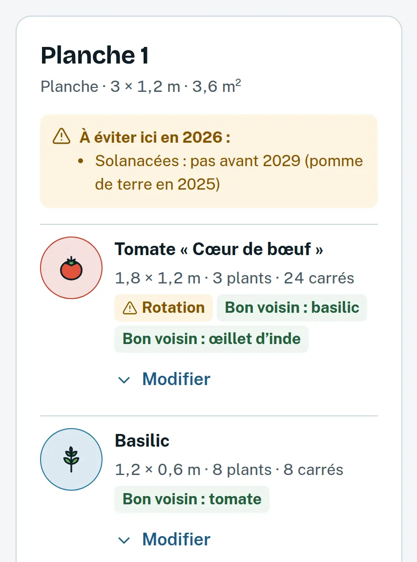 Fiche de la planche 1 : les Solanacées à éviter jusqu’en 2029, une tomate Cœur de bœuf de 3 plants, bonne voisine du basilic et de l’œillet d’Inde.